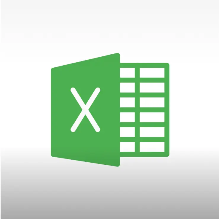 MS OFFICE EXCEL 2019